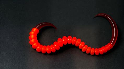 dream with centipede|What Does It Mean to Dream of Centipedes: Insights into Your .